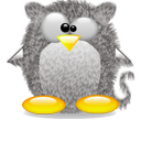 Penguin pingouin pinguino 127